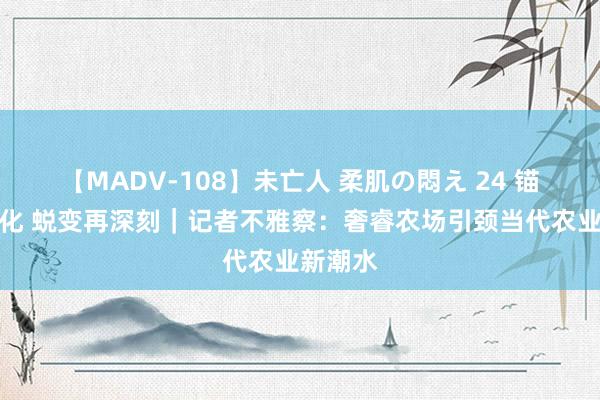 【MADV-108】未亡人 柔肌の悶え 24 锚定当代化 蜕变再深刻｜记者不雅察：奢睿农场引颈当代农业新潮水
