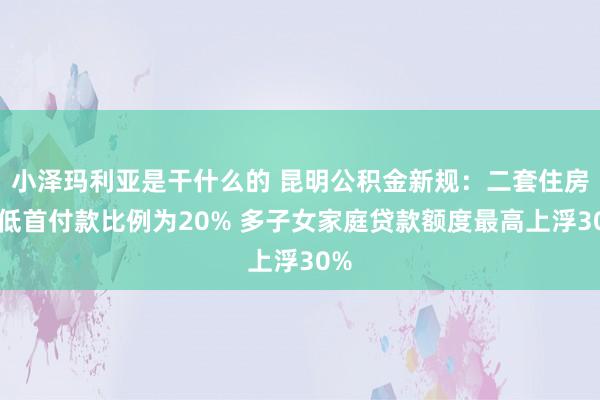 小泽玛利亚是干什么的 昆明公积金新规：二套住房最低首付款比例为20% 多子女家庭贷款额度最高上浮30%