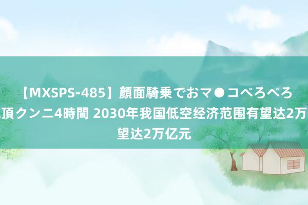 【MXSPS-485】顔面騎乗でおマ●コべろべろ！絶頂クンニ4時間 2030年我国低空经济范围有望达2万亿元