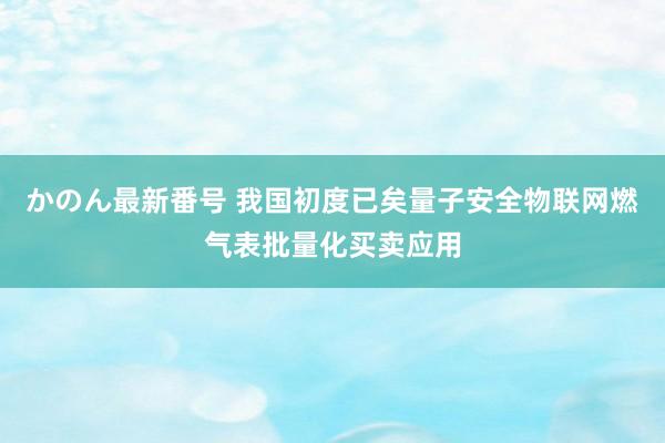 かのん最新番号 我国初度已矣量子安全物联网燃气表批量化买卖应用