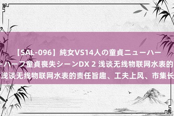 【SAL-096】純女VS14人の童貞ニューハーフ 二度と見れないニューハーフ童貞喪失シーンDX 2 浅谈无线物联网水表的责任旨趣、工夫上风、市集长进