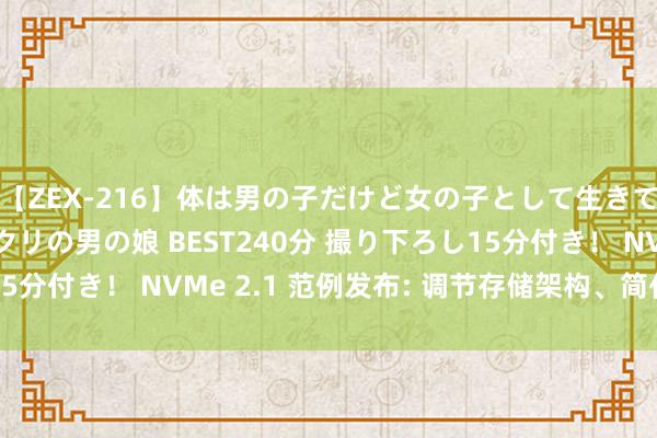 【ZEX-216】体は男の子だけど女の子として生きてる 感じやすいペニクリの男の娘 BEST240分 撮り下ろし15分付き！ NVMe 2.1 范例发布: 调节存储架构、简化斥地经由