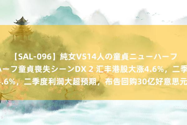 【SAL-096】純女VS14人の童貞ニューハーフ 二度と見れないニューハーフ童貞喪失シーンDX 2 汇丰港股大涨4.6%，二季度利润大超预期，布告回购30亿好意思元股票 | 财报见闻