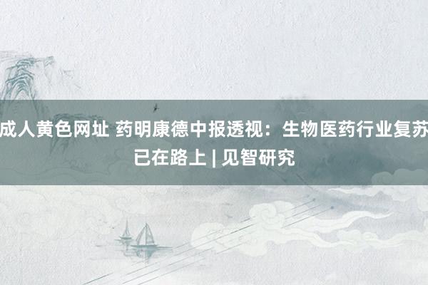 成人黄色网址 药明康德中报透视：生物医药行业复苏已在路上 | 见智研究