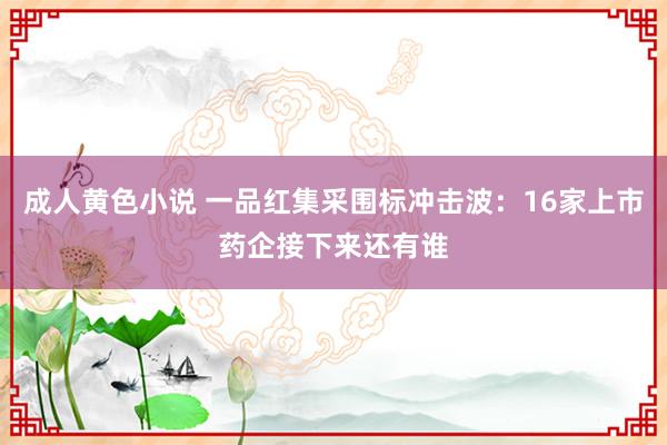 成人黄色小说 一品红集采围标冲击波：16家上市药企接下来还有谁