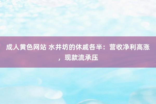 成人黄色网站 水井坊的休戚各半：营收净利高涨，现款流承压