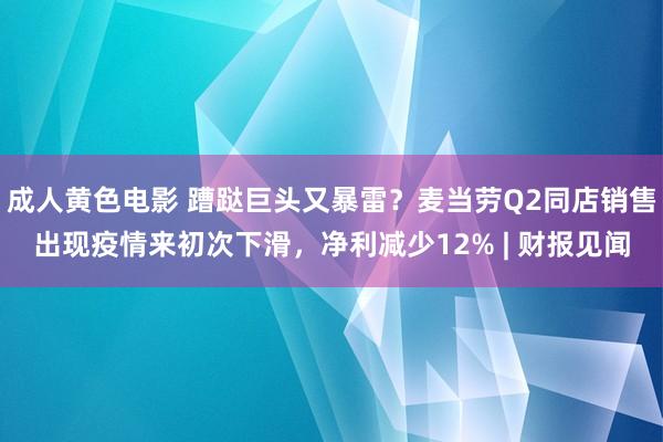 成人黄色电影 蹧跶巨头又暴雷？麦当劳Q2同店销售出现疫情来初次下滑，净利减少12% | 财报见闻