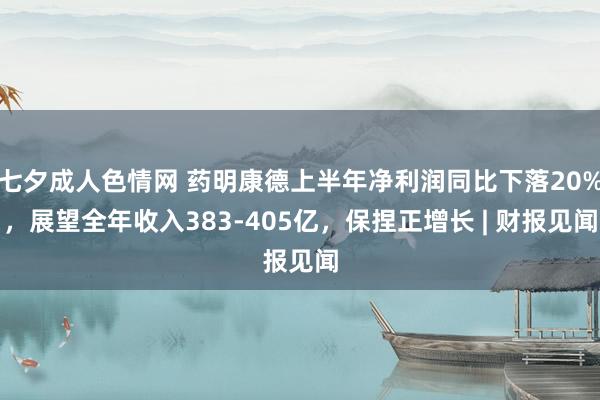 七夕成人色情网 药明康德上半年净利润同比下落20%，展望全年收入383-405亿，保捏正增长 | 财报见闻