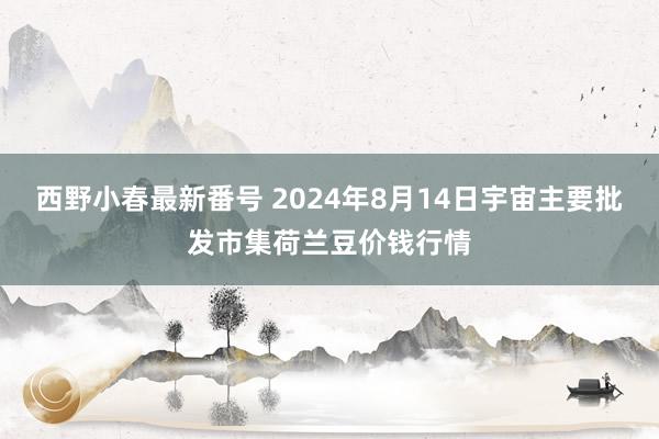 西野小春最新番号 2024年8月14日宇宙主要批发市集荷兰豆价钱行情
