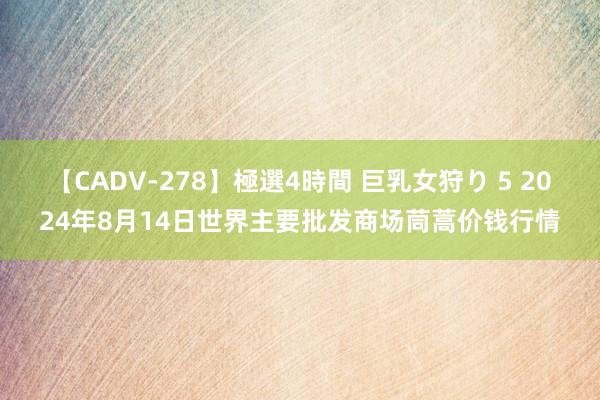 【CADV-278】極選4時間 巨乳女狩り 5 2024年8月14日世界主要批发商场茼蒿价钱行情