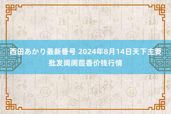 西田あかり最新番号 2024年8月14日天下主要批发阛阓茴香价钱行情