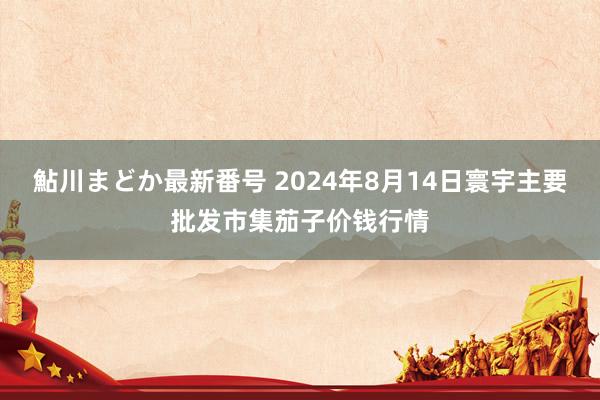 鮎川まどか最新番号 2024年8月14日寰宇主要批发市集茄子价钱行情