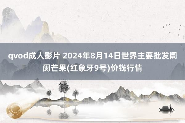 qvod成人影片 2024年8月14日世界主要批发阛阓芒果(红象牙9号)价钱行情