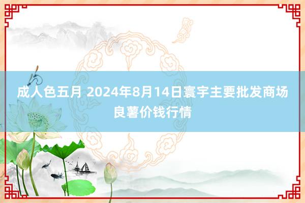 成人色五月 2024年8月14日寰宇主要批发商场良薯价钱行情