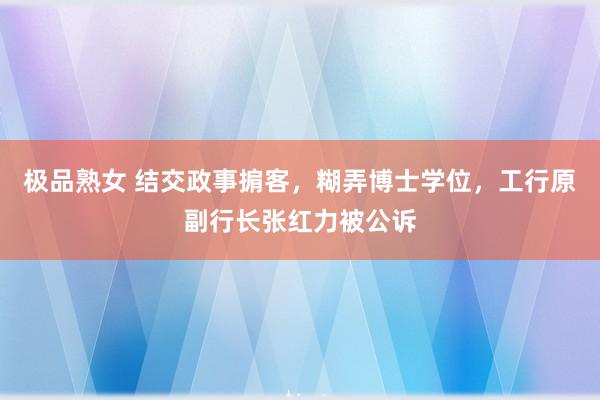 极品熟女 结交政事掮客，糊弄博士学位，工行原副行长张红力被公诉