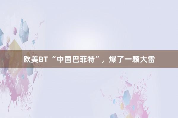 欧美BT “中国巴菲特”，爆了一颗大雷