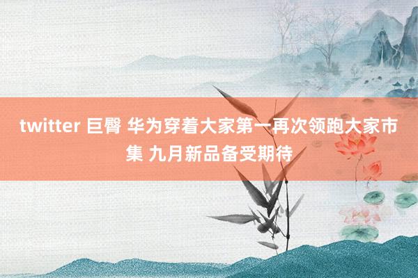 twitter 巨臀 华为穿着大家第一再次领跑大家市集 九月新品备受期待