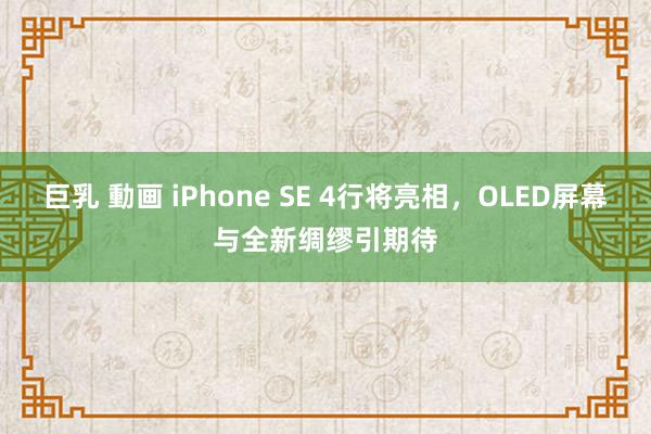 巨乳 動画 iPhone SE 4行将亮相，OLED屏幕与全新绸缪引期待