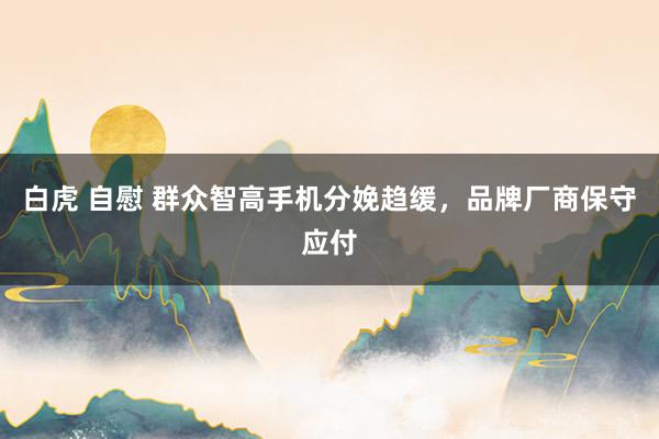 白虎 自慰 群众智高手机分娩趋缓，品牌厂商保守应付