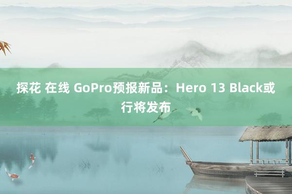 探花 在线 GoPro预报新品：Hero 13 Black或行将发布