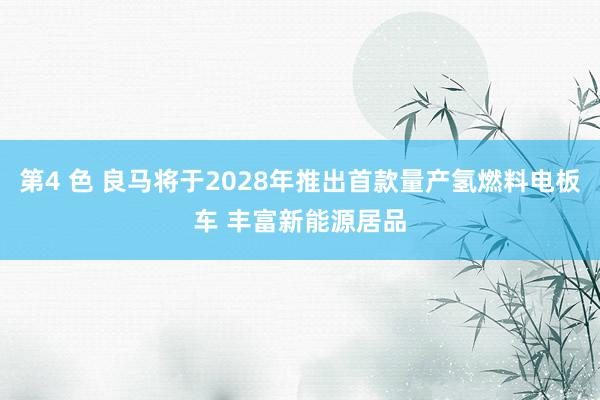 第4 色 良马将于2028年推出首款量产氢燃料电板车 丰富新能源居品