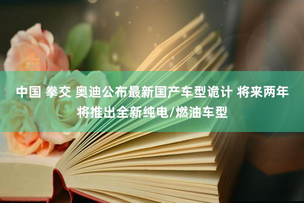 中国 拳交 奥迪公布最新国产车型诡计 将来两年将推出全新纯电/燃油车型