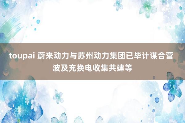 toupai 蔚来动力与苏州动力集团已毕计谋合营 波及充换电收集共建等