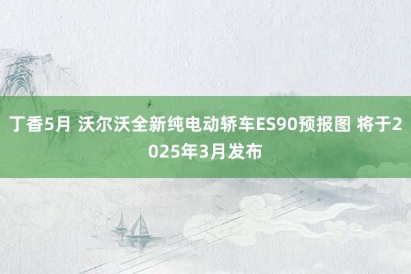 丁香5月 沃尔沃全新纯电动轿车ES90预报图 将于2025年3月发布