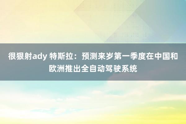 很狠射ady 特斯拉：预测来岁第一季度在中国和欧洲推出全自动驾驶系统