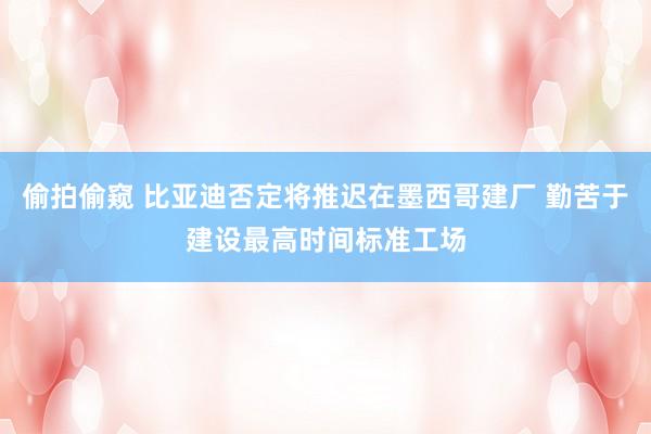 偷拍偷窥 比亚迪否定将推迟在墨西哥建厂 勤苦于建设最高时间标准工场