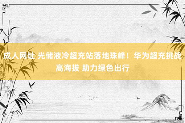 成人网址 光储液冷超充站落地珠峰！华为超充挑战高海拔 助力绿色出行