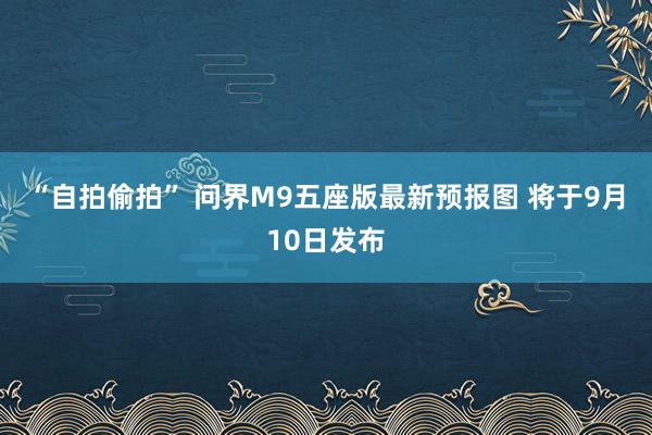 “自拍偷拍” 问界M9五座版最新预报图 将于9月10日发布
