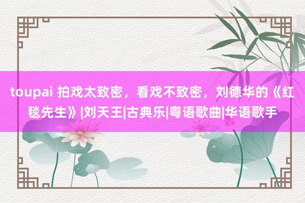 toupai 拍戏太致密，看戏不致密，刘德华的《红毯先生》|刘天王|古典乐|粤语歌曲|华语歌手