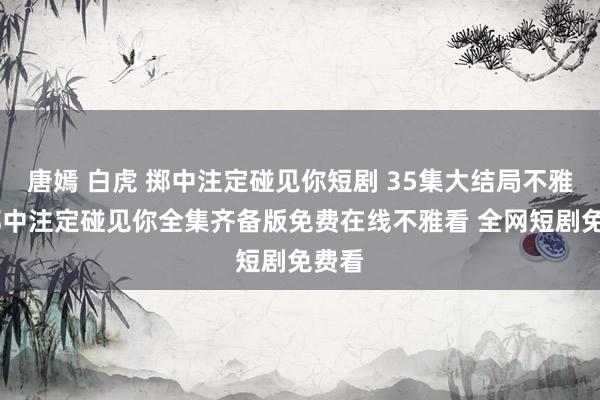 唐嫣 白虎 掷中注定碰见你短剧 35集大结局不雅看 掷中注定碰见你全集齐备版免费在线不雅看 全网短剧免费看