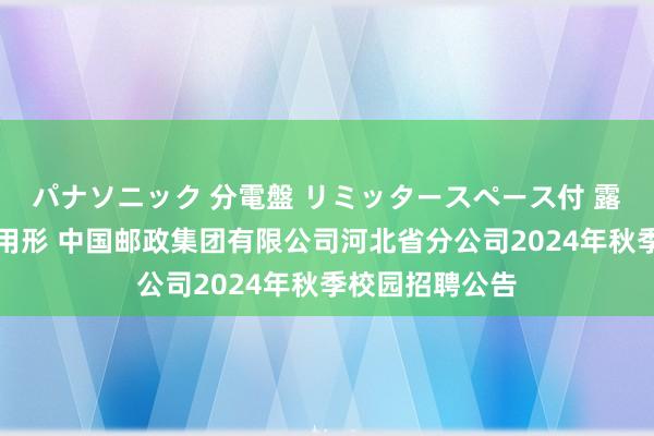 パナソニック 分電盤 リミッタースペース付 露出・半埋込両用形 中国邮政集团有限公司河北省分公司2024年秋季校园招聘公告