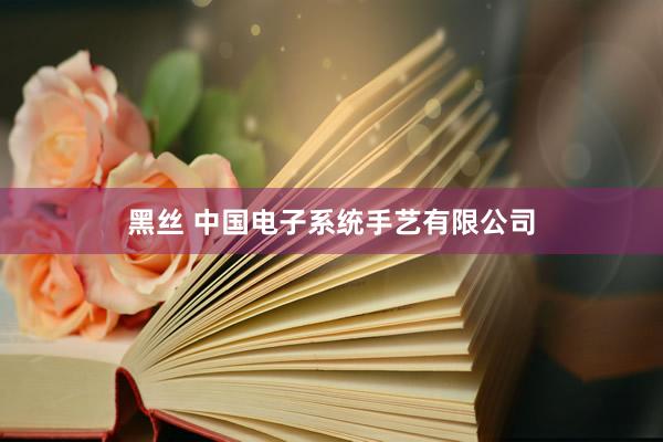 黑丝 中国电子系统手艺有限公司
