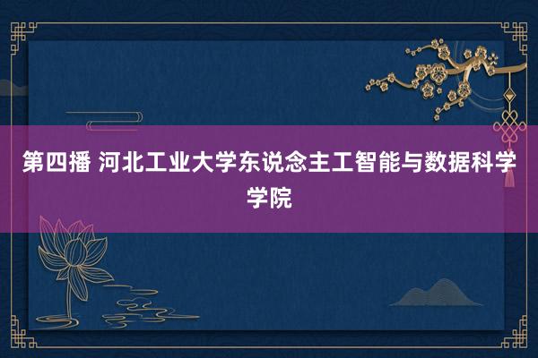 第四播 河北工业大学东说念主工智能与数据科学学院