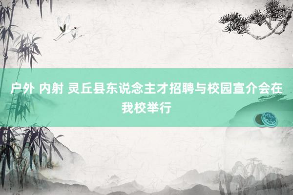 户外 内射 灵丘县东说念主才招聘与校园宣介会在我校举行
