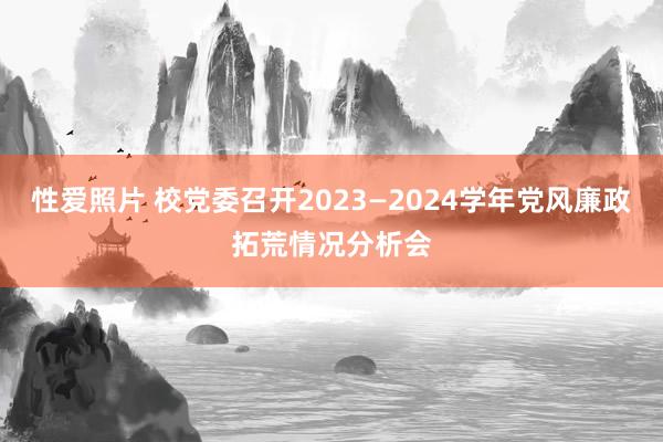 性爱照片 校党委召开2023—2024学年党风廉政拓荒情况分析会