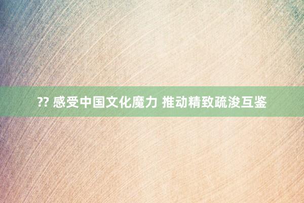 ?? 感受中国文化魔力 推动精致疏浚互鉴