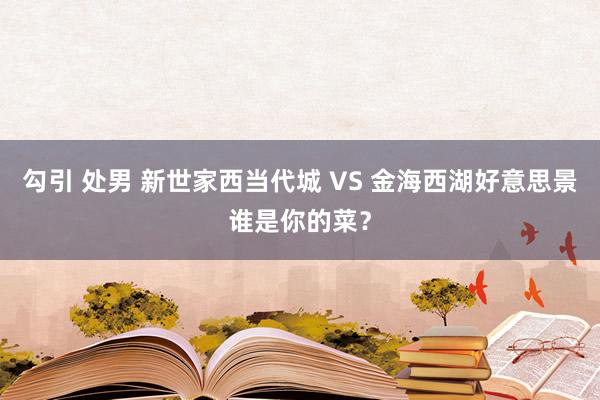 勾引 处男 新世家西当代城 VS 金海西湖好意思景谁是你的菜？