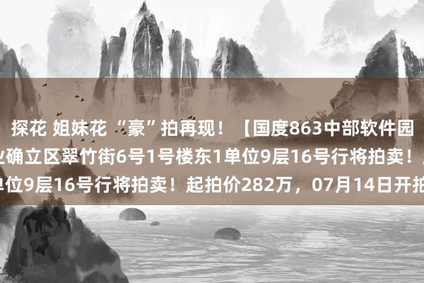 探花 姐妹花 “豪”拍再现！【国度863中部软件园】| 郑州市高新时期产业确立区翠竹街6号1号楼东1单位9层16号行将拍卖！起拍价282万，07月14日开拍！