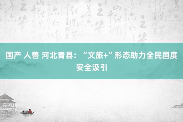国产 人兽 河北青县：“文旅+”形态助力全民国度安全汲引