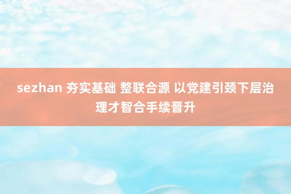 sezhan 夯实基础 整联合源 以党建引颈下层治理才智合手续晋升