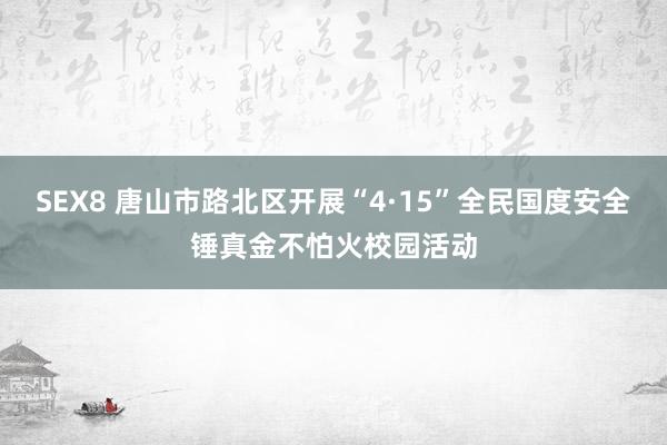 SEX8 唐山市路北区开展“4·15”全民国度安全锤真金不怕火校园活动