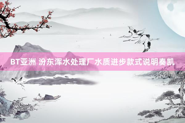 BT亚洲 汾东浑水处理厂水质进步款式说明奏凯