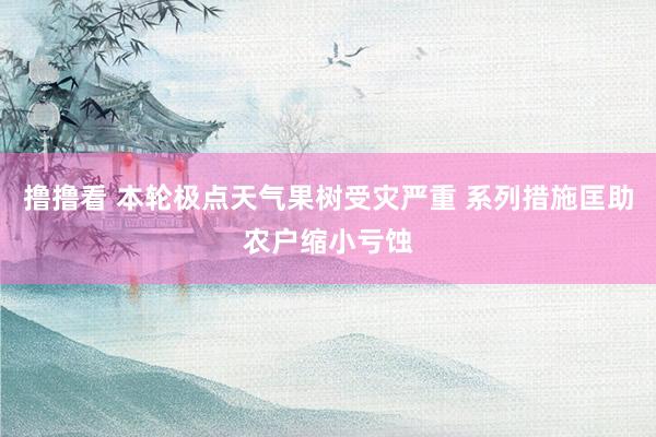 撸撸看 本轮极点天气果树受灾严重 系列措施匡助农户缩小亏蚀