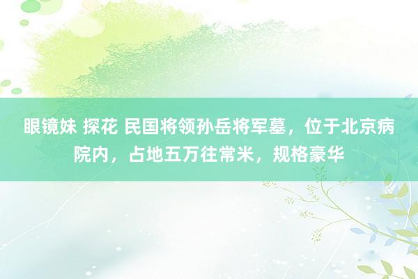眼镜妹 探花 民国将领孙岳将军墓，位于北京病院内，占地五万往常米，规格豪华