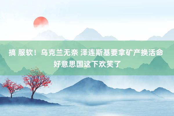 搞 服软！乌克兰无奈 泽连斯基要拿矿产换活命 好意思国这下欢笑了