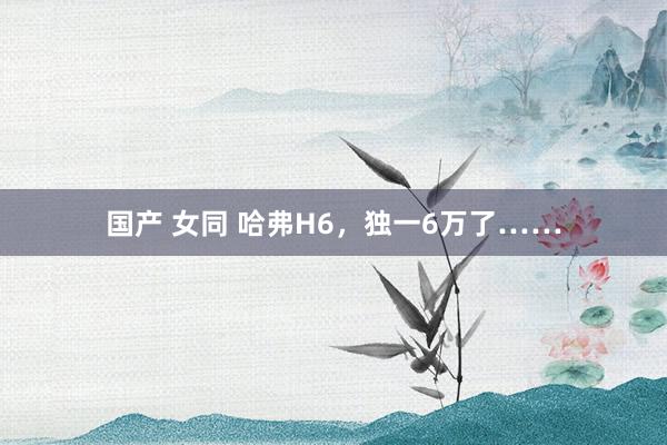 国产 女同 哈弗H6，独一6万了……